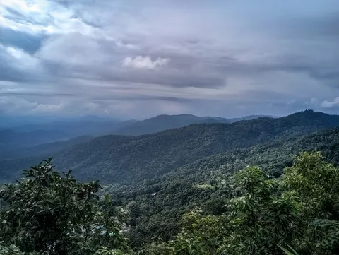 Layered ridges under a wide overcast, scrub and trees in the foreground.