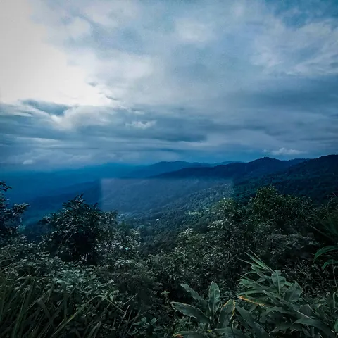 A rain-hazed valley seen from a ridge in the morning, wet scrub in the foreground.